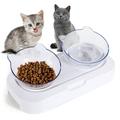 Tilted Cat Bowls Elevated Cat Bowl Transparent Cat Feeding Bowl Raised Cat Bowl With Stand Kitten Bowls Double Cat Bowls For