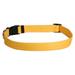 Yellow Dog Design Goldenrod Simple Dog Collar 3/8 Wide and Fits Necks 8 to 12 Extra