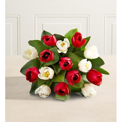 1-800-Flowers Seasonal Gift Delivery Holiday Tulips + Free Vase 15 Stems, Bouquet Only