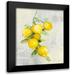 Purinton Julia 15x18 Black Modern Framed Museum Art Print Titled - Zest I