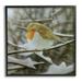 Stupell Industries Little Bird Perched Detailed Snow Covered Twigs Painting Black Framed Art Print Wall Art Design by Alan Weston