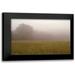 Studio 2 24x17 Black Modern Framed Museum Art Print Titled - Misty Morning I