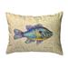 Betsy Drake KS1380 11 x 14 in. Pumpkinseed Fish Non-Corded Pillow - Small