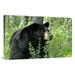 36 in. Spring Time in Bear Country Art Print - Vic Schendel