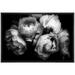 wall26 Canvas Print Wall Art Bouquet of Chinese Rose Flowers Floral Plants Photography Modern Art Rustic Closeup Dramatic Duotone Dark Black and White for Living Room Bedroom Office - 16 x24&q