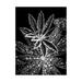 Trademark Fine Art Crystal I Canvas Art by Incado