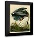 Audubon John James 18x24 Black Modern Framed Museum Art Print Titled - The Great Blue Heron
