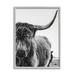 Stupell Industries Highland Cow Cattle Horn Close Up Serene Photography Photograph Gray Framed Art Print Wall Art Design by Dakota Diener