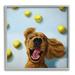 Stupell Industries Happy Smiling Pet Dog with Yellow Tennis Balls 12 x 12 Designed by Lucia Heffernan