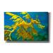 Epic Graffiti Sea Dragon by Mike Jones Giclee Canvas Wall Art 40 x26