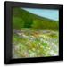 Finch Sheila 20x20 Black Modern Framed Museum Art Print Titled - Flowers of Half Moon Bay II