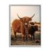 Stupell Industries Longhorn Highland Cattle Cow Warm Sunrise Morning Photograph Gray Framed Art Print Wall Art Design by Dakota Diener