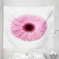 Pink and White Tapestry Fresh Gerber Daisy Garden Plants of Spring Growth Single Flower Image Fabric Wall Hanging Decor for Bedroom Living Room Dorm 5 Sizes Pale Pink White by Ambesonne