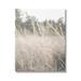 Stupell Industries Warm Rural Field Tall Grass Countryside Scenery Canvas Wall Art 16 x 20 Design by Donnie Quillen