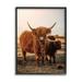 Stupell Industries Longhorn Highland Cattle Cow Warm Sunrise Morning Photograph Black Framed Art Print Wall Art Design by Dakota Diener