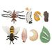Animals Model Cycle Models Life Figure Wild Miniature Play Playsets Growth Figurines Insect Mosquito Kids Animal