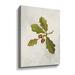 Gracie Oaks Oak Branch - Graphic Art on Canvas in Green/White | 24 H x 18 W x 2 D in | Wayfair AA79D48164FE44669341896AC3EC9A69