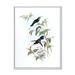 Designart Ancient Hummingbird I Traditional Framed Canvas Wall Art Print