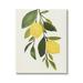 Stupell Industries Simple Yellow Country Lemon Leaf Citrus Fruit Paintings Gallery-Wrapped Canvas Print Wall Art 24x30 by Annie Warren