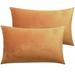 2 Throw Pillow Covers Velvet Decorative Pillow Covers Square Soft Solid Cushion Covers for Couch Sofa Bedroom Car
