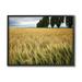 Stupell Industries Wheat Field Harvest Windy Field Country Landscape Photography Black Framed Art Print Wall Art 16x20 by Nancy Crowell