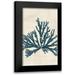 Wild Apple Portfolio 10x14 Black Modern Framed Museum Art Print Titled - Pacific Sea Mosses IV No Map Crop