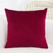 Sufanic Comfortable Velvet Throw Pillow Cases Decorative Cushion Covers for Sofa Couch and Bed 16x16inch