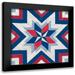 Vess June Erica 20x20 Black Modern Framed Museum Art Print Titled - Americana Quilt Motif III