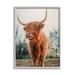 Stupell Industries Highland Cattle Cow Grazing Rural Farmland Sunlight Photograph Gray Framed Art Print Wall Art Design by Dakota Diener
