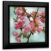 Schlabach Sue 20x20 Black Modern Framed Museum Art Print Titled - Quince Blossoms II