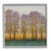 Stupell Industries Warm Sunset Sky Trees Silhouettes Nature Scene Painting Gray Framed Art Print Wall Art Design by Tim OToole