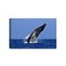 DECORARTS - Breaching Whale. Giclee Prints Cotton Canvas Stretched Wall Decor. Wild Animal Wall Art. Safari Art. 24x16