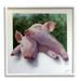 Stupell Industries Sweet Cuddling Pigs Sentimental Farm Animal Portrait Painting White Framed Art Print Wall Art Design by Alan Weston