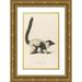 Jean-Baptiste Audebert 13x18 Gold Ornate Wood Frame and Double Matted Museum Art Print Titled - The Various (1797)