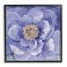 Stupell Industries Closeup Purple Anemone Flower Blossom Illustration Drawings Black Framed Art Print Wall Art 12x12 by Lanie Loreth