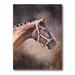 Designart Close Up Portrait Of Brown Horse Farmhouse Canvas Wall Art Print