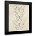 Vess June Erica 15x18 Black Modern Framed Museum Art Print Titled - Vintage Butterfly Sketch I