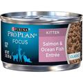 Purina Pro Plan Pate Wet Kitten Food FOCUS Salmon & Ocean Fish Entree - (24) 3 oz. Pull-Top Cans