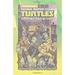 Pre-Owned Teenage Mutant Ninja Turtles Amazing Adventures: Tea-Time for a Turtle TMNT Adventures Hardcover Ian Flynn Caleb Goellner