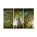 Joseph S Giacalone Magical Redwoods Triptych Canvas Art