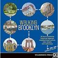 Walking Brooklyn : 30 Tours Exploring Historical Legacies Neighborhood Culture Side Streets and Waterways 9780899974309 Used / Pre-owned