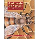 Animals at Work : How Animals Build Dig Fish and Trap 9781550746730 Used / Pre-owned