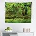 Rainforest Tapestry Tree with Moss in The Jungle Natural Life Feng Shui Silent Plants Pattern Fabric Wall Hanging Decor for Bedroom Living Room Dorm 2 Sizes Green Brown by Ambesonne