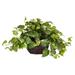 Nearly Natural 6681 Pothos with Vase Decorative Silk Plant Green