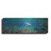 Luxe Metal Art Sharks Realm by Enright Metal Wall Art 36 x12