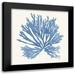 Wild Apple Portfolio 15x15 Black Modern Framed Museum Art Print Titled - Pacific Sea Mosses II Light Blue