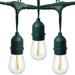 Newhouse Lighting Outdoor Weatherproof Commercial Grade LED String Lights with Hanging Sockets Weatherproof Technology LED Filament Light Bulbs Included Heavy Duty 48-Foot String Green Cord