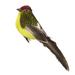 TUTUnaumb 2022 Winter Mini Fake Birds Artificial Feather Foam Doves Wedding Garden Decoration Ornament-Green