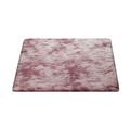 Pgeraug Carpet Carpet Indoor Carpet Porch Front Door Warm Doormat Carpet Floor Mat Artificial Carpet Living Room Carpet - 40X60Cm Carpet G