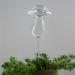 Glass Watering Globe Self Watering Spikes- Plant Watering Bulbs Devices-self Watering for Indoor and Outdoor Plants